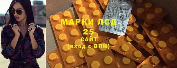 тгк Бородино